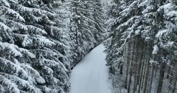 Aerial Drone View Road Idyllic Winter Landscape Nature Dense Forest — Stock video