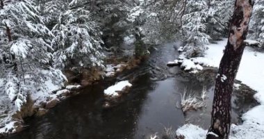 An aerial view of a frozen river flowing through snow-covered forests on a cloudy sunset sky background. Hi quality 4K footage.