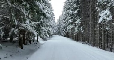 Aerial drone view of the road in idyllic winter landscape nature in a dense forest with fresh snow. Hi quality 4K footage. 