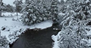 An aerial view of a frozen river flowing through snow-covered forests on a cloudy sunset sky background. Hi quality 4K footage.