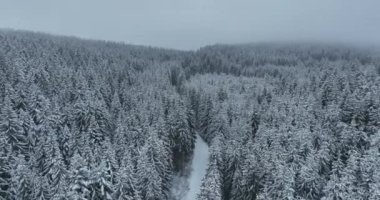 Aerial drone view of the road in idyllic winter landscape nature in a dense forest with fresh snow. Hi quality 4K footage. 