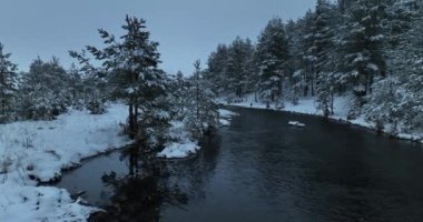 An aerial view of a frozen river flowing through snow-covered forests on a cloudy sunset sky background. Hi quality 4K footage.