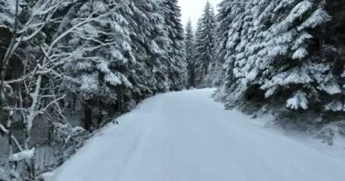 Aerial drone view of the road in idyllic winter landscape nature in a dense forest with fresh snow. Hi quality 4K footage. 