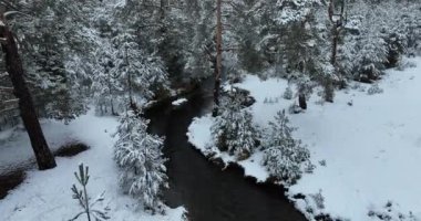 An aerial view of a frozen river flowing through snow-covered forests on a cloudy sunset sky background. Hi quality 4K footage.