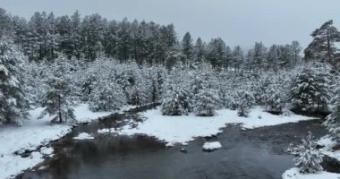 An aerial view of a frozen river flowing through snow-covered forests on a cloudy sunset sky background. Hi quality 4K footage.
