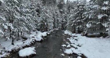 An aerial view of a frozen river flowing through snow-covered forests on a cloudy sunset sky background. Hi quality 4K footage.