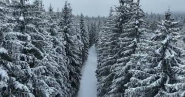 Aerial drone view of the road in idyllic winter landscape nature in a dense forest with fresh snow. Hi quality 4K footage. 