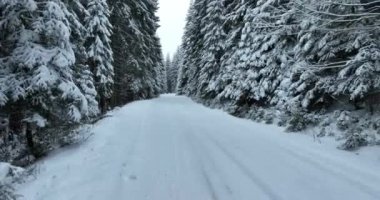 Aerial drone view of the road in idyllic winter landscape nature in a dense forest with fresh snow. Hi quality 4K footage. 