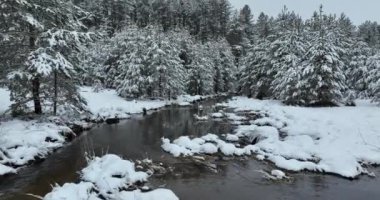 An aerial view of a frozen river flowing through snow-covered forests on a cloudy sunset sky background. Hi quality 4K footage.