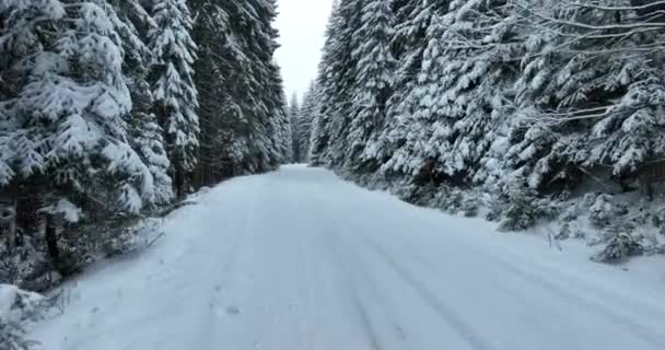 Aerial Drone View Road Idyllic Winter Landscape Nature Dense Forest — Stock video