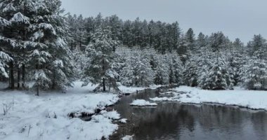 An aerial view of a frozen river flowing through snow-covered forests on a cloudy sunset sky background. Hi quality 4K footage.