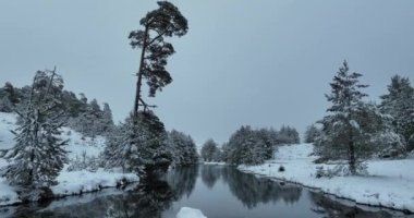 An aerial view of a frozen river flowing through snow-covered forests on a cloudy sunset sky background. Hi quality 4K footage.