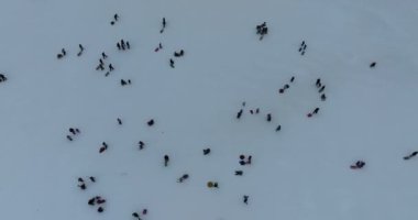 Many skiers and snowboarders skiing down on snowy mountainsides slopes in mountains at ski resort in winter. Family and friends have fun on fresh snow sliding. Bjelasnica mountain. Quality 4k video