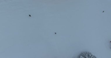 Many skiers and snowboarders skiing down on snowy mountainsides slopes in mountains at ski resort in winter. Family and friends have fun on fresh snow sliding. Bjelasnica mountain. Quality 4k video