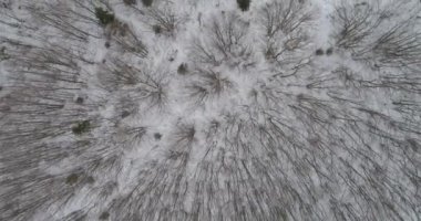 Aerial view of mountain twisted road in the winter. Epic, snowy white winter in the mountains. High rocky mountains and clean road through frozen forest. High quality 4k footage