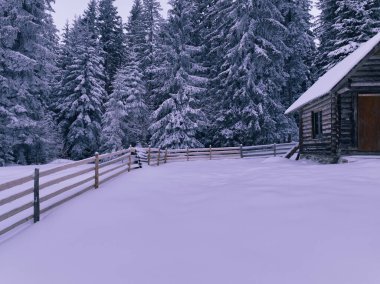 Splendid mountain winter landscape with secluded small wooden alpine cottage among the fir trees fully covered by snow during snow fall. Hi quality 4K slow motion footage. 