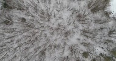 Aerial view of mountain twisted road in the winter. Epic, snowy white winter in the mountains. High rocky mountains and clean road through frozen forest. High quality 4k footage