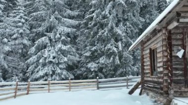 Splendid mountain winter landscape with secluded small wooden alpine cottage among the fir trees fully covered by snow during snow fall. Hi quality 4K slow motion footage. 