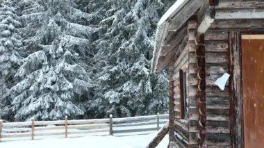 Splendid mountain winter landscape with secluded small wooden alpine cottage among the fir trees fully covered by snow during snow fall. Hi quality 4K slow motion footage. 