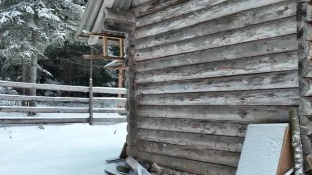 Splendid Mountain Winter Landscape Secluded Small Wooden Alpine Cottage Fir — 图库视频影像