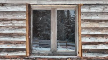 Splendid mountain winter landscape with secluded small wooden alpine cottage among the fir trees fully covered by snow during snow fall. Hi quality 4K slow motion footage. 