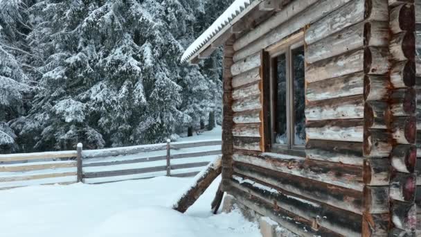 Splendid Mountain Winter Landscape Secluded Small Wooden Alpine Cottage Fir — Video Stock