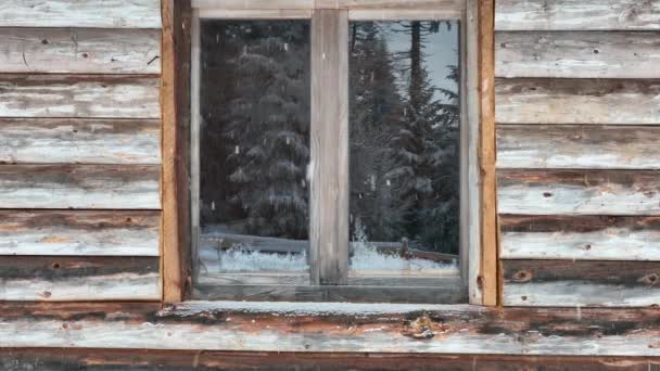 Splendid Mountain Winter Landscape Secluded Small Wooden Alpine Cottage Fir — Stockvideo