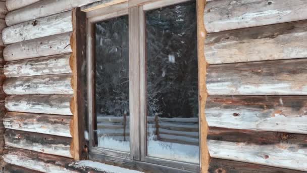 Splendid Mountain Winter Landscape Secluded Small Wooden Alpine Cottage Fir — 비디오