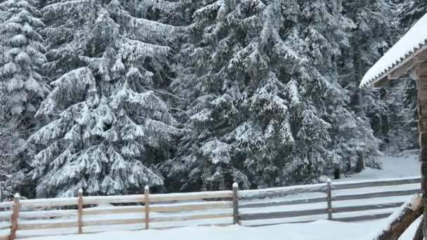 Чудовий Гірський Зимовий Пейзаж Відокремленим Невеликим Дерев Яним Альпійським Котеджем — стокове відео