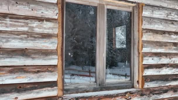 Splendid Mountain Winter Landscape Secluded Small Wooden Alpine Cottage Fir — Stock videók