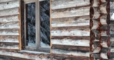 Aerial top view drone shot of the pine and spruce trees forest covered with snow in the Mountains. Beauty in nature and ecology concept image. Natural pattern or texture. Hi quality 4K footage.