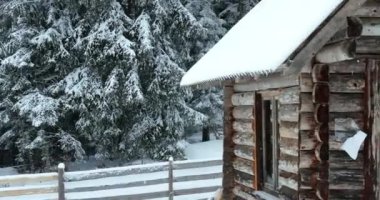 Aerial top view drone shot of the pine and spruce trees forest covered with snow in the Mountains. Beauty in nature and ecology concept image. Natural pattern or texture. Hi quality 4K footage.