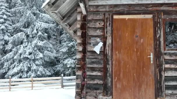 Splendid Mountain Winter Landscape Secluded Small Wooden Alpine Cottage Fir — Wideo stockowe