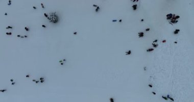Many skiers and snowboarders skiing down on snowy mountainsides slopes in mountains at ski resort in winter. Family and friends have fun on fresh snow sliding. Bjelasnica mountain. Quality 4k video