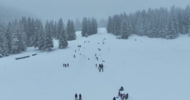 Many skiers and snowboarders skiing down on snowy mountainsides slopes in mountains at ski resort in winter. Family and friends have fun on fresh snow sliding. Bjelasnica mountain. Quality 4k video