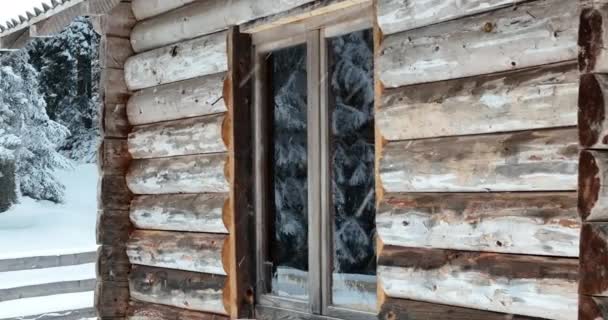 Splendid Mountain Winter Landscape Secluded Small Wooden Alpine Cottage Fir — Stockvideo