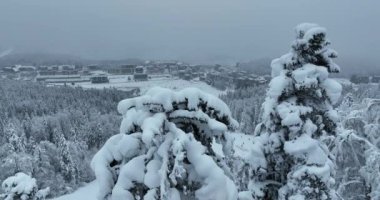 Many skiers and snowboarders skiing down on snowy mountainsides slopes in mountains at ski resort in winter. Family and friends have fun on fresh snow sliding. Bjelasnica mountain. Quality 4k video