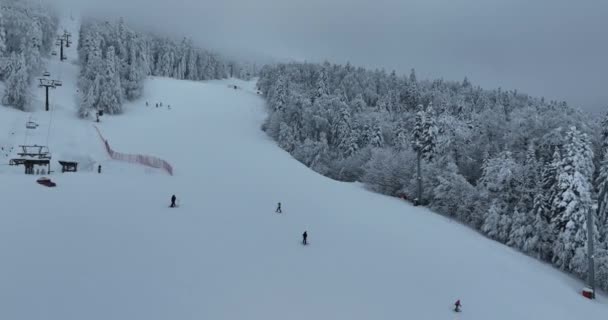 Many Skiers Snowboarders Skiing Snowy Mountainsides Slopes Mountains Ski Resort — Stok video