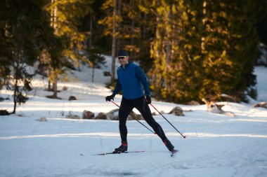 Nordic skiing or Cross-country skiing classic technique practiced by man in a beautiful panoramic trail at morning. Selective focus 