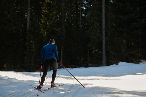 Nordic Skiing Cross Country Skiing Classic Technique Practiced Man Beautiful — Zdjęcie stockowe