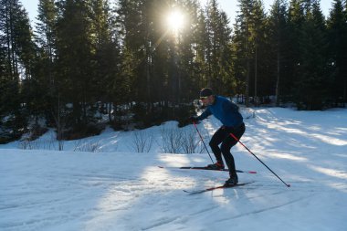 Nordic skiing or Cross-country skiing classic technique practiced by man in a beautiful panoramic trail at morning. Selective focus 