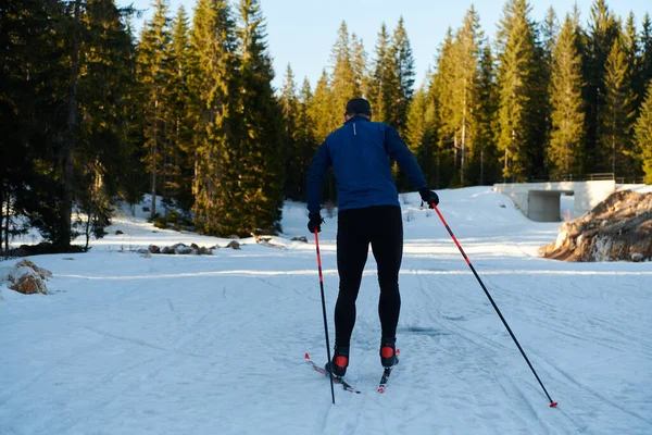 Nordic Skiing Cross Country Skiing Classic Technique Practiced Man Beautiful — ストック写真