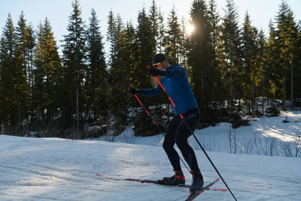 北欧滑雪运动或越野滑雪运动是人类早上在美丽的全景小径上所采用的经典技术 有选择的重点 — 图库照片
