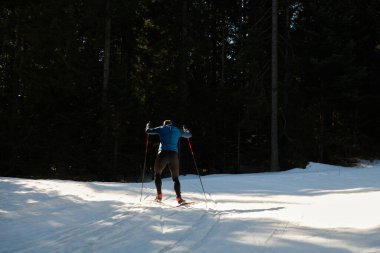Nordic skiing or Cross-country skiing classic technique practiced by man in a beautiful panoramic trail at morning. Selective focus 