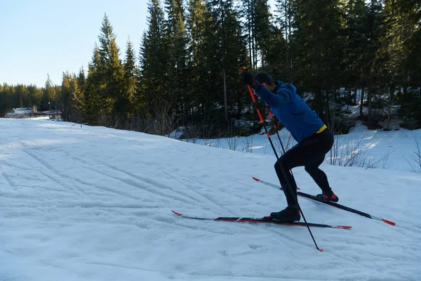 Nordic Skiing Cross Country Skiing Classic Technique Practiced Man Beautiful — ストック写真