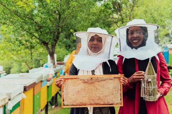 Arab investors checking the quality and production of honey on a large honey farm