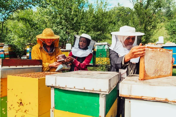 アラブの投資家は 彼らが彼らのお金を投資している大規模な蜂の農場で蜂蜜の品質をチェックします 中小企業への投資の概念 — ストック写真