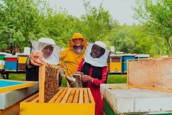 拥有资深养蜂人的商业伙伴在一家大型养蜂场检查蜂蜜的质量和产量 — 图库照片