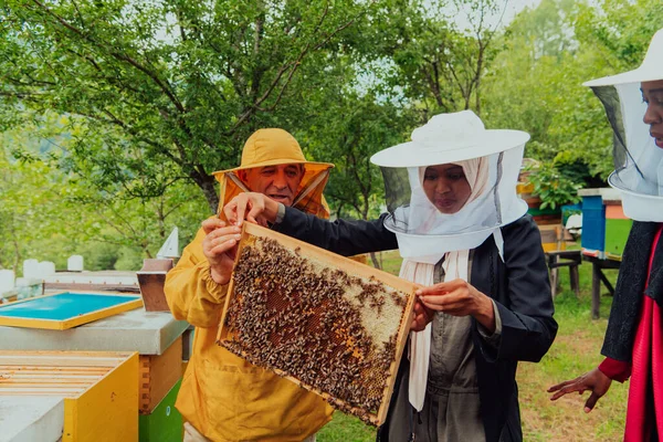 Business Partners Experienced Senior Beekeeper Checking Quality Production Honey Large — Stok fotoğraf