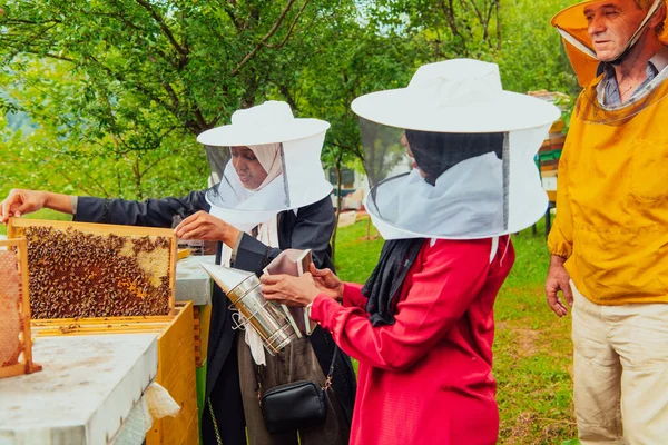 Business Partners Experienced Senior Beekeeper Checking Quality Production Honey Large — Photo